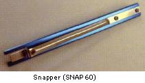 Snapper